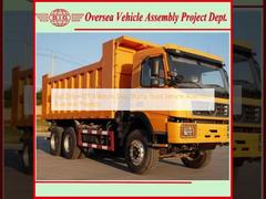 6x4 Drive 10T Medium Duty Dump Truck Vehicle Assembly Business Projects